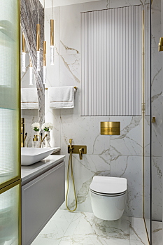 Intérieur élégant d'un appartement de St-Pétersbourg