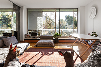 Style contemporain à Paris
